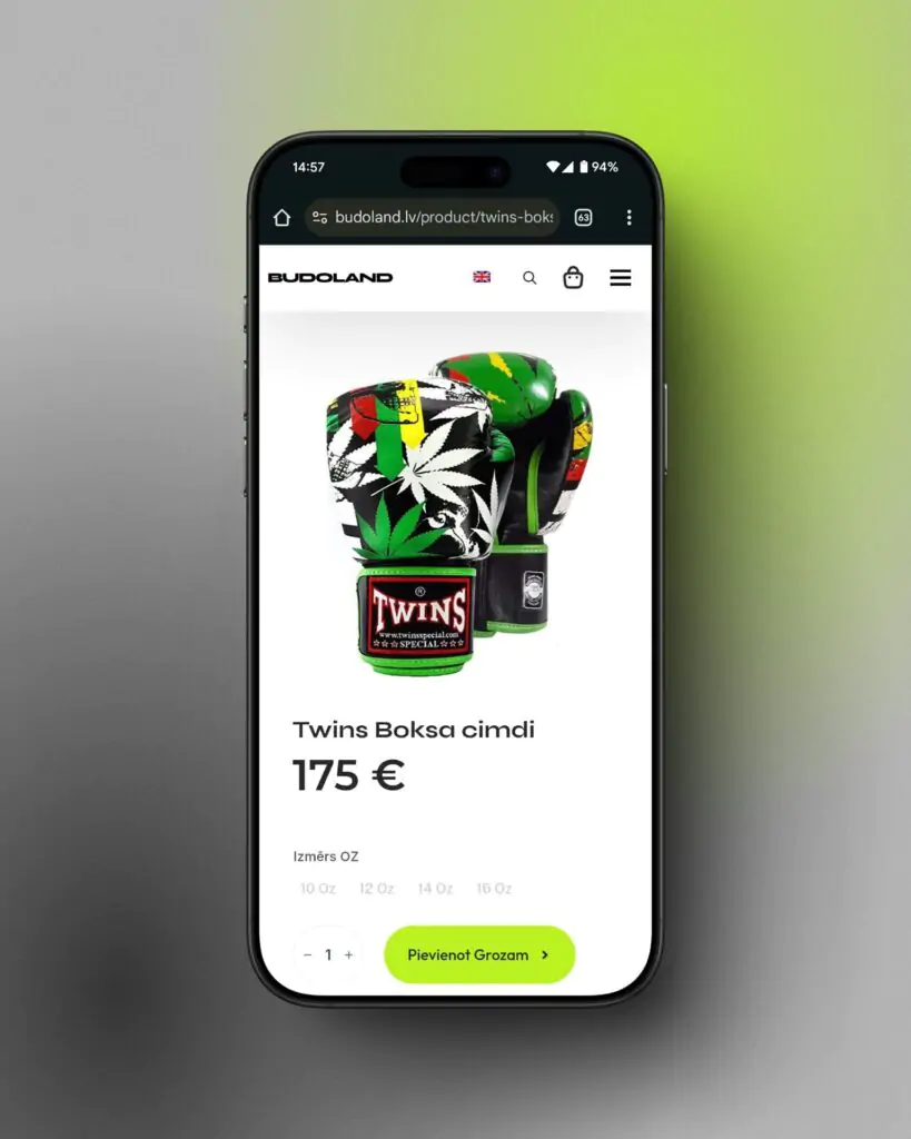 DruvoWEB, mājaslapu izstrāde, mājaslapas izveide, BUDOLAND