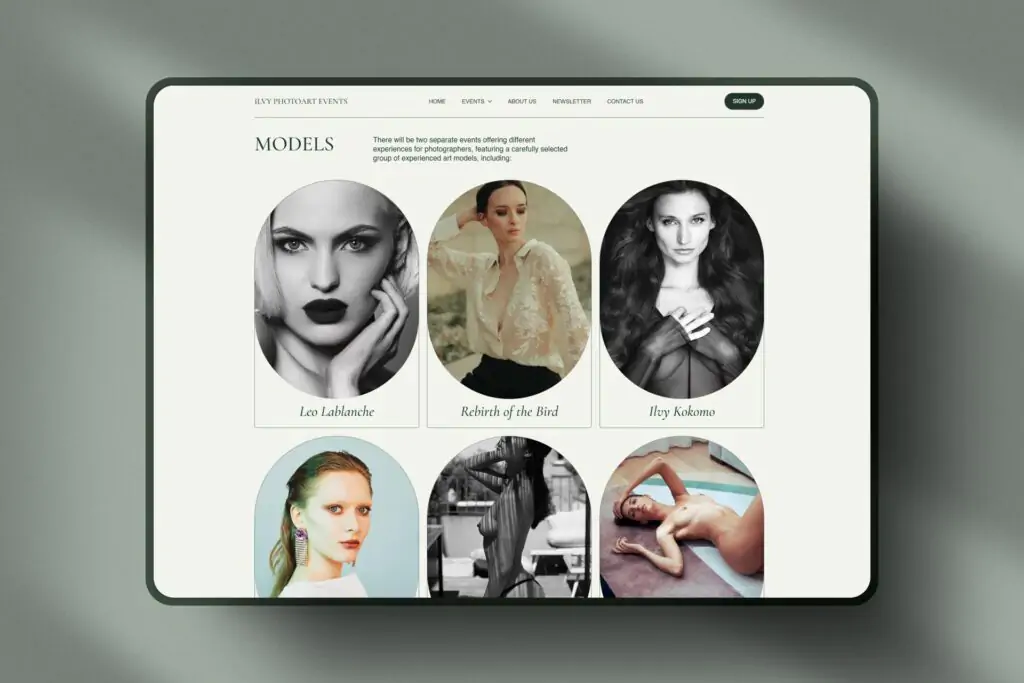DruvoWEB, mājaslapu izstrāde, mājaslapas izveide, Ilvy PhotoArt Events