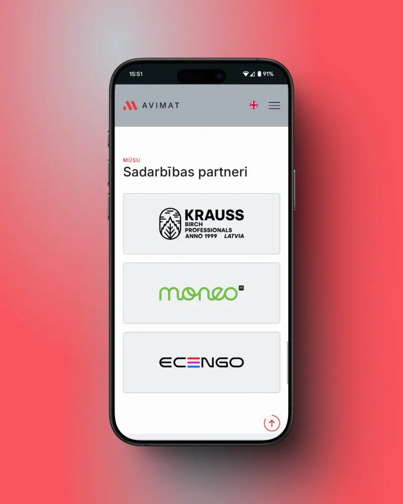 DruvoWEB, mājaslapu izstrāde, mājaslapas izveide, AVIMAT